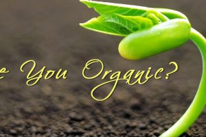 Are You Organic