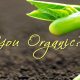 Are You Organic?