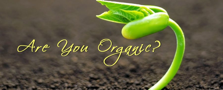 Are You Organic